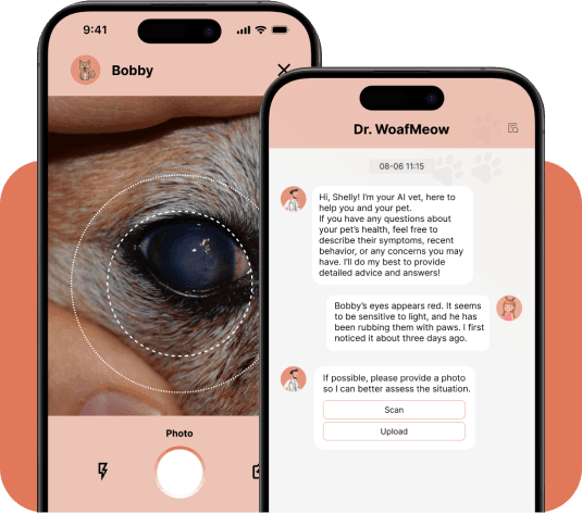 AI Vet Screen