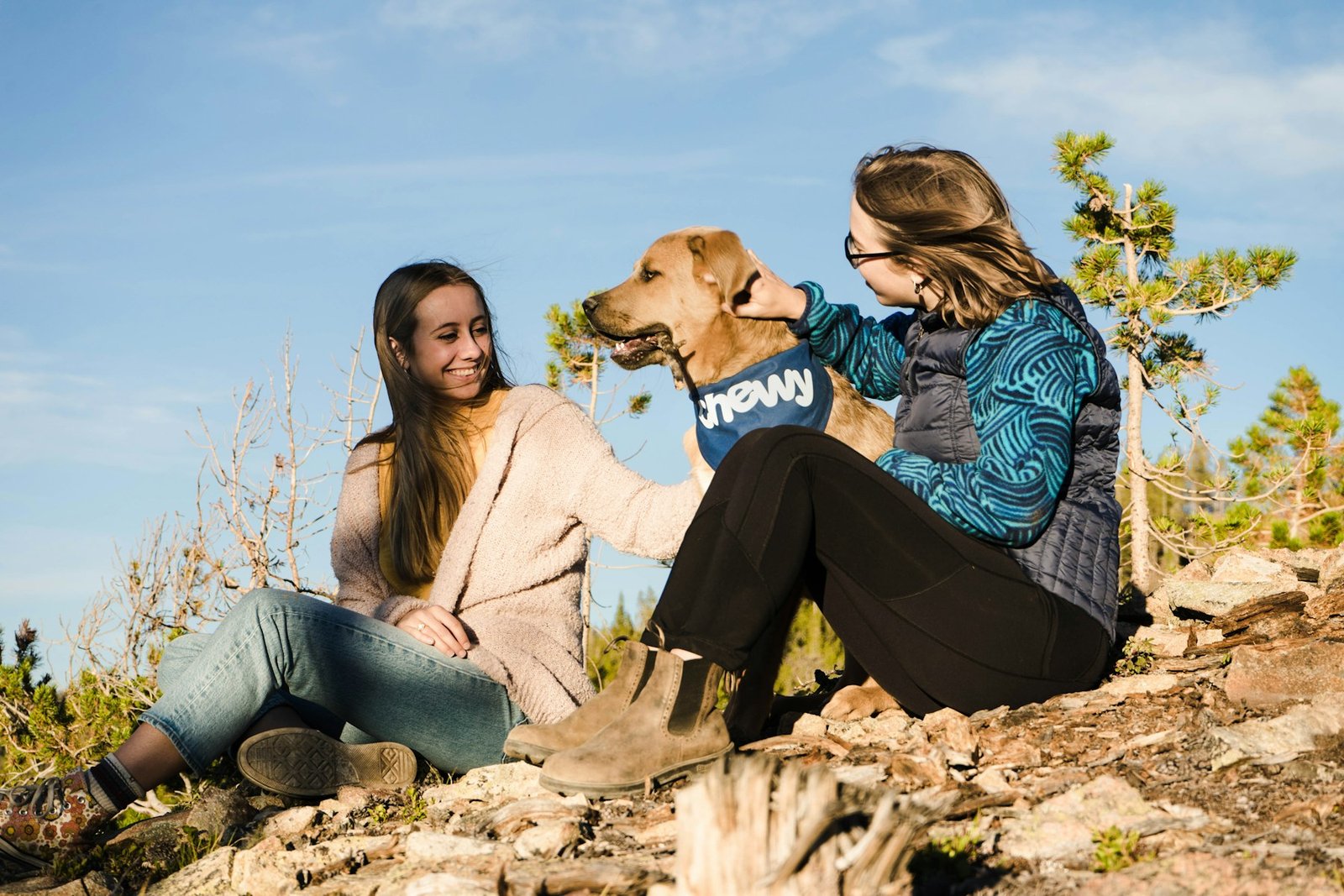 Dog owners talking together in a calm public place