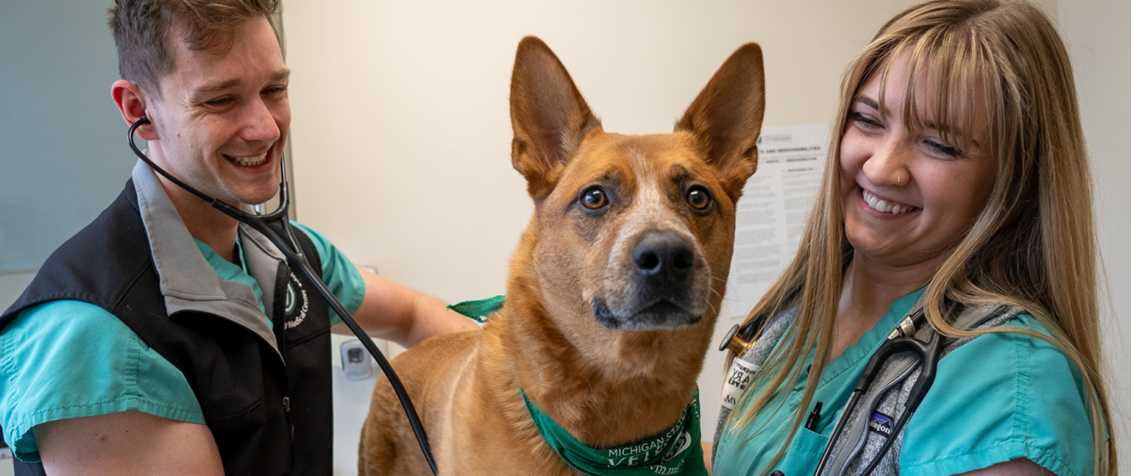 Veterinary Medical Center: Small Animal Clinic published professional or clinic image