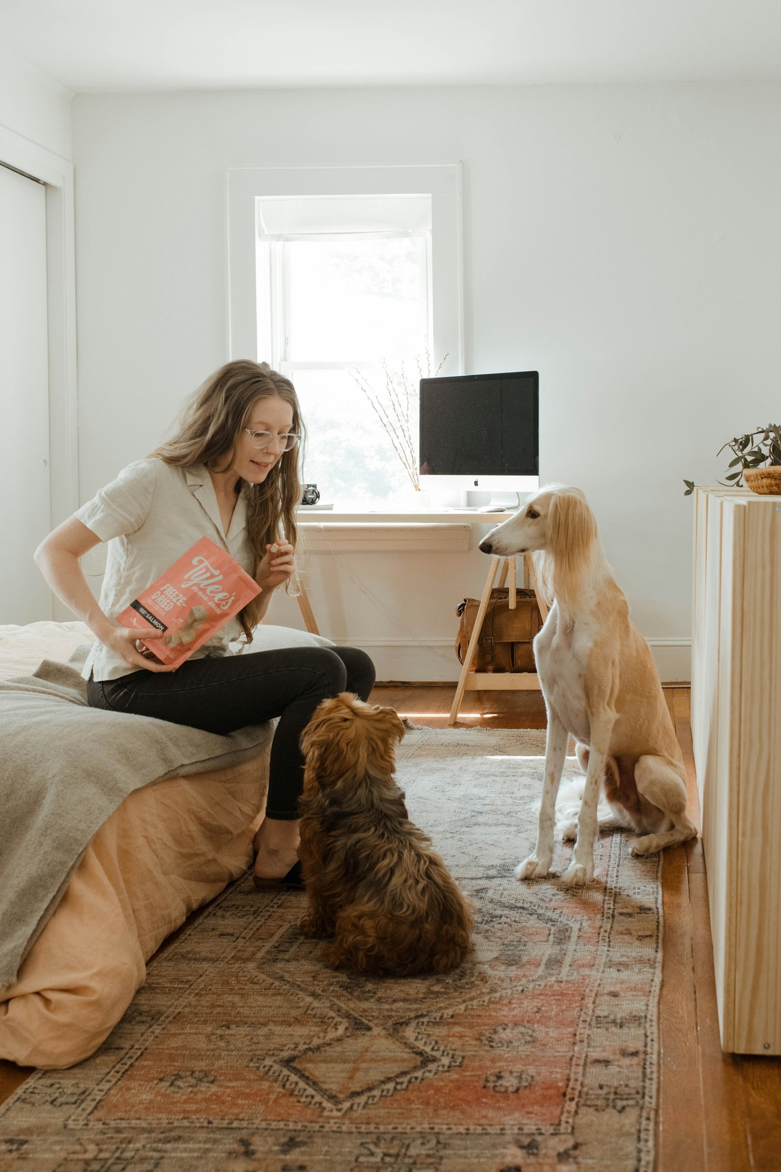 Dog owner observing two dogs while reviewing a change in body condition