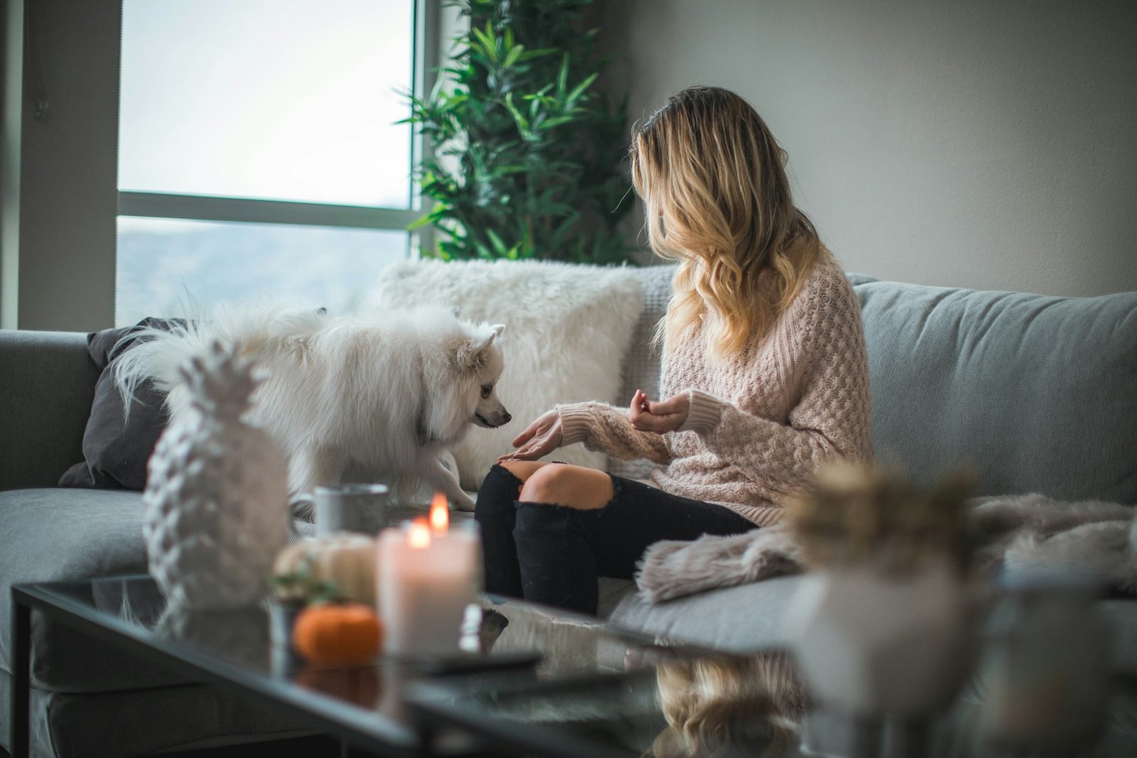Dog owner gently observing a dog during a quiet home moment