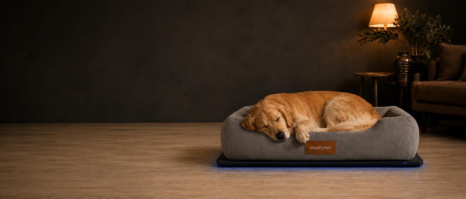Complete WoafyPet Smart Bed resting on its Smart Base