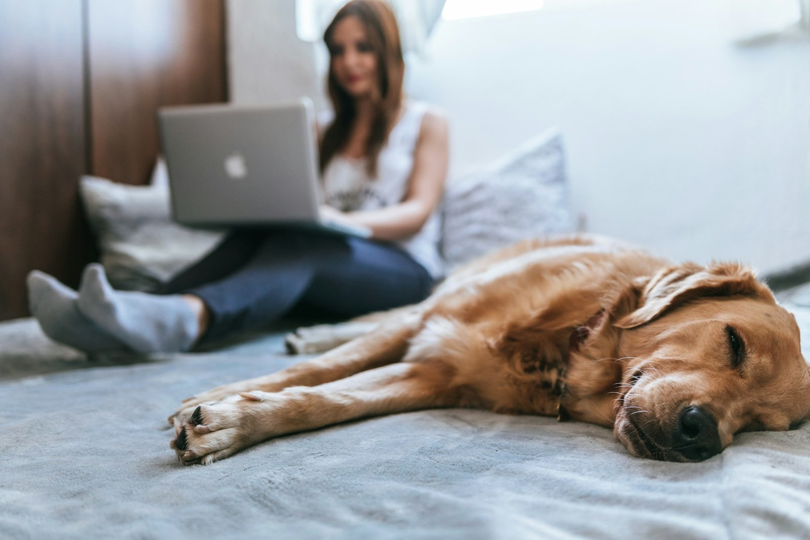 Dog resting near a caregiver who is observing breathing comfort