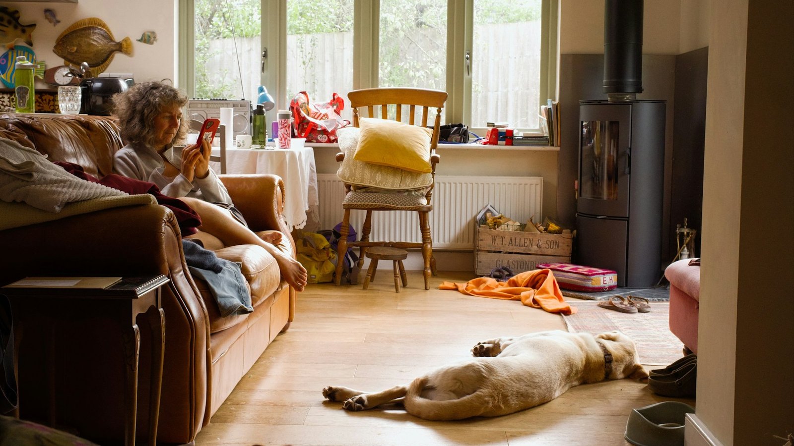 Senior dog resting at home while a caregiver reviews daily care