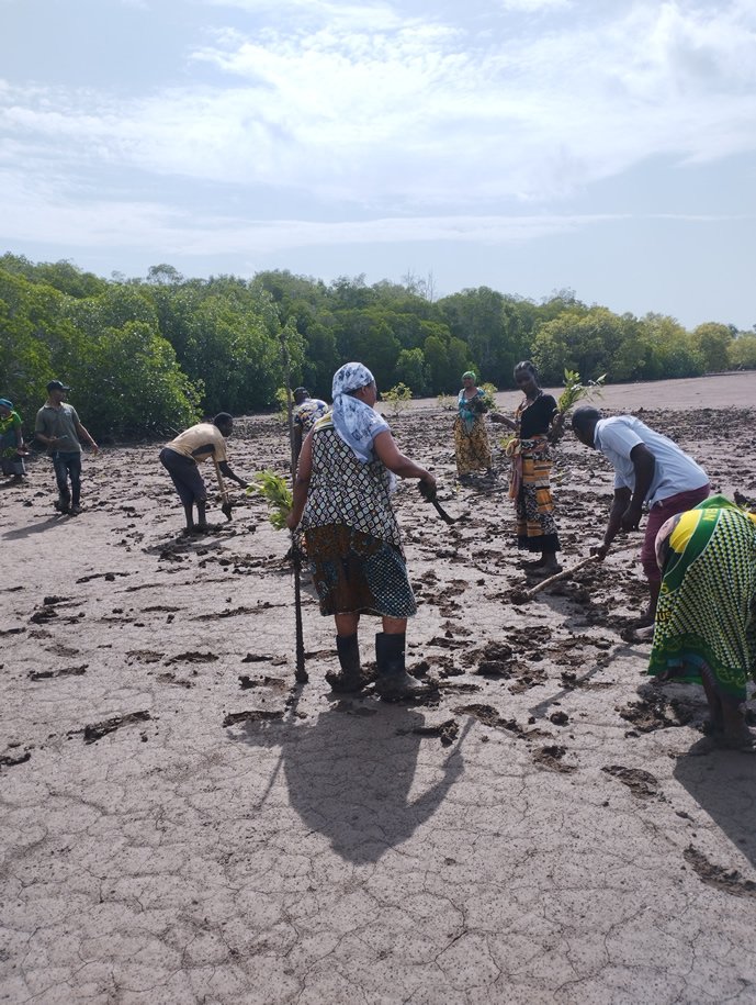 Friends of Usambara community members planting trees