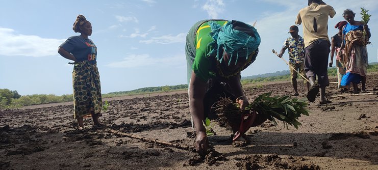 Community planting work supported by Friends of Usambara