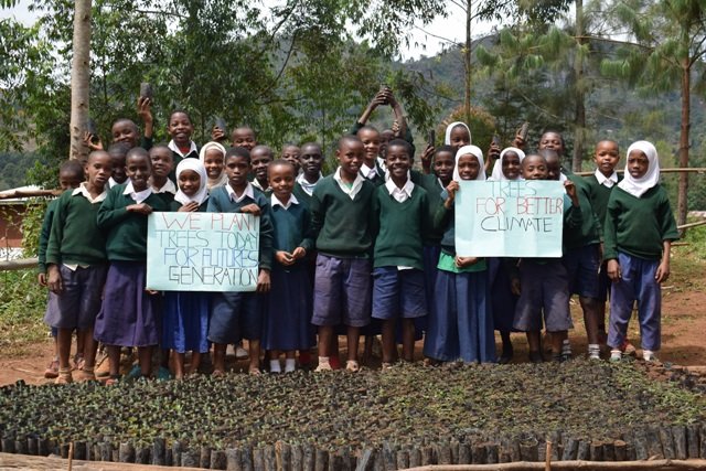 Students participating in a Friends of Usambara tree nursery