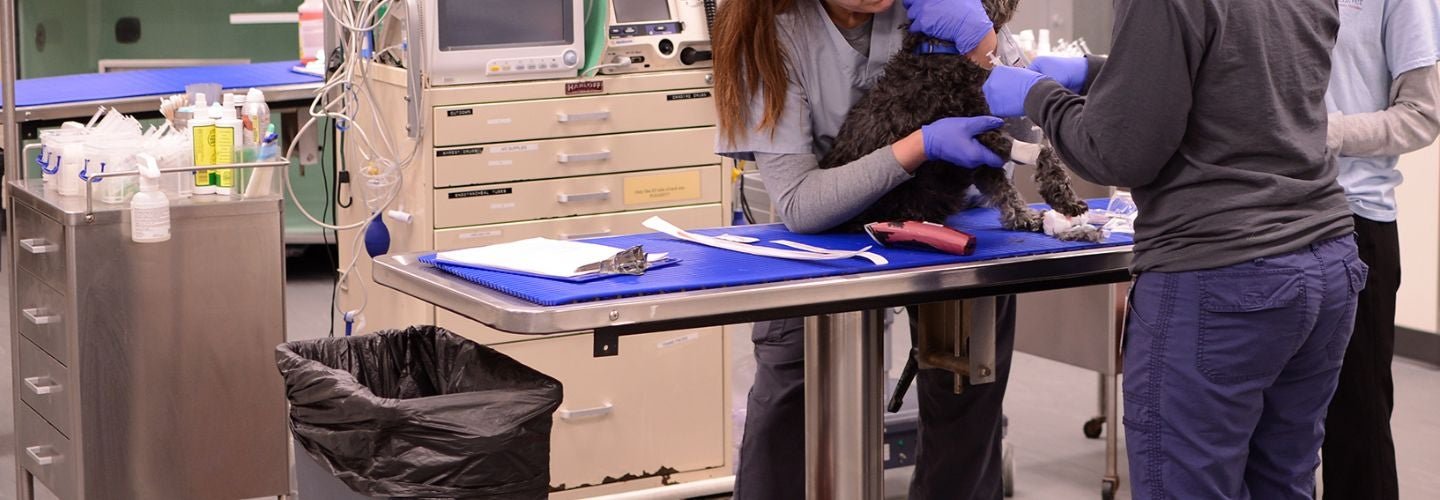 Ryan Veterinary Hospital published profile photo