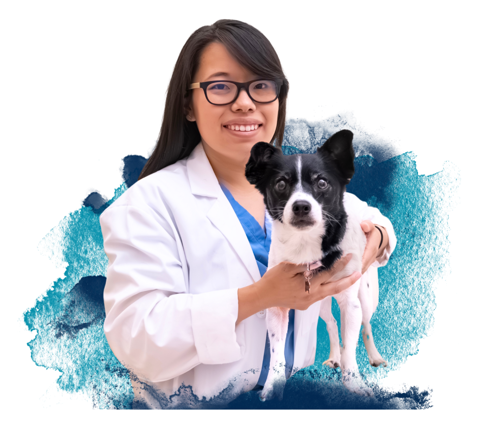 William R. Pritchard Veterinary Medical Teaching Hospital published profile photo