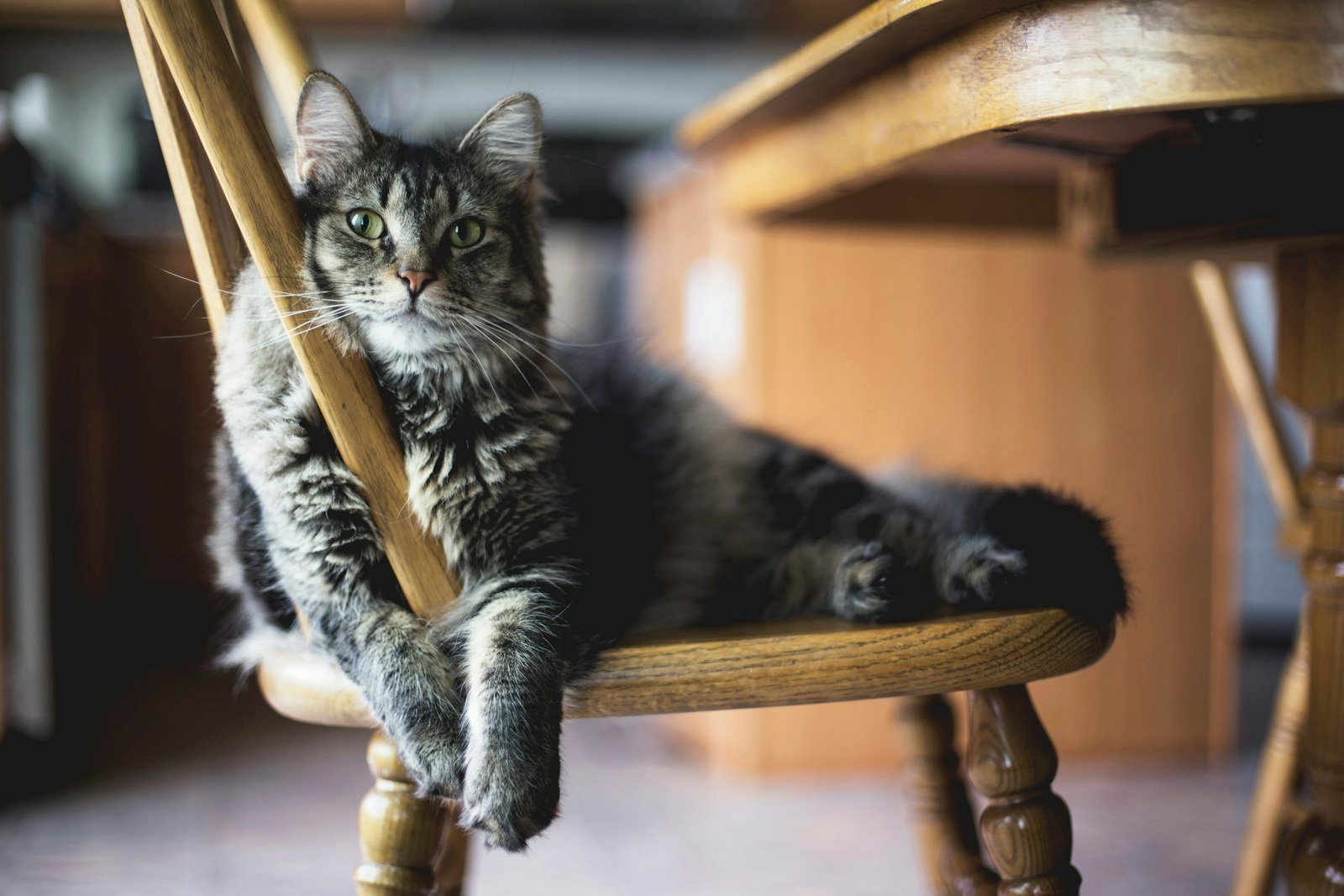 Pet owner making a care note at home