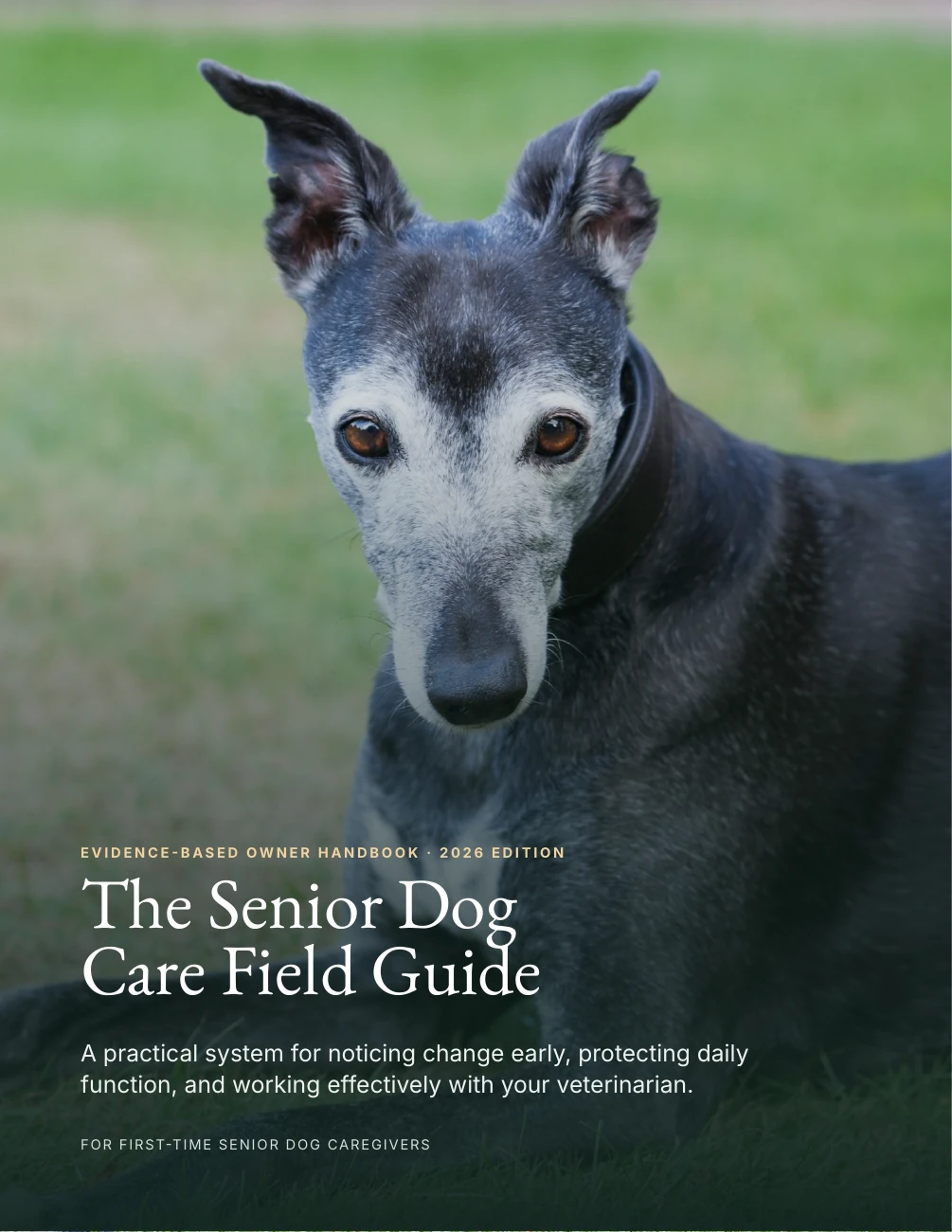 The original WoafMeow Senior Dog Care Field Guide cover