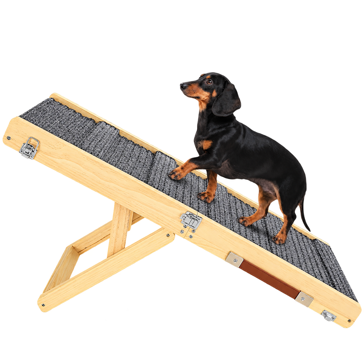 Folding Dog Ramp